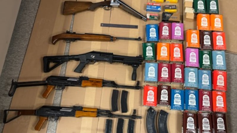 2 men from York Region charged after police allegedly seize guns, ammo in Vaughan raid