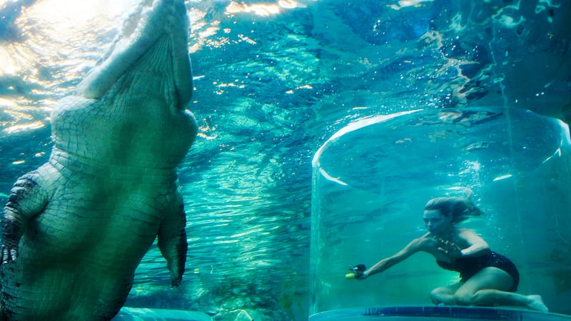 These are the best weird and wonderful theme parks around the world