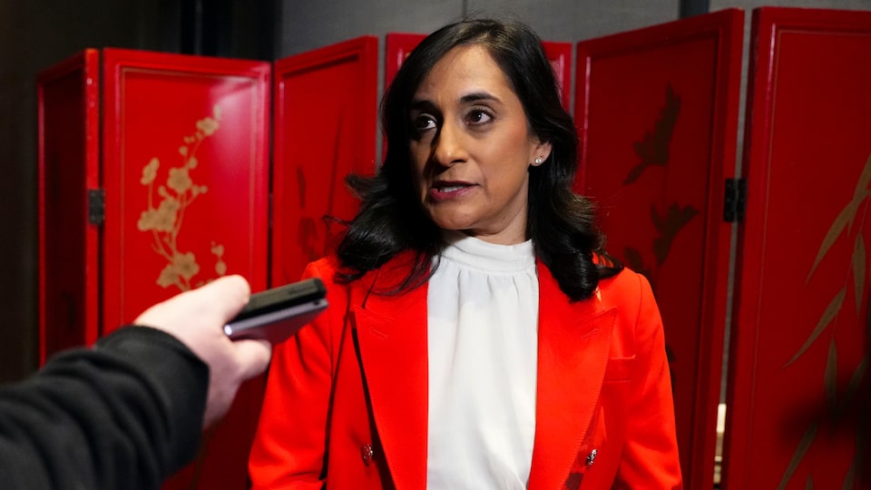 Trade relations and exploring new opportunities for collaboration on the agenda: Anand