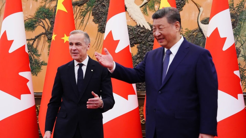 Analyst reacts to Canada-China EV deal: ‘This is not a free-for-all for China’