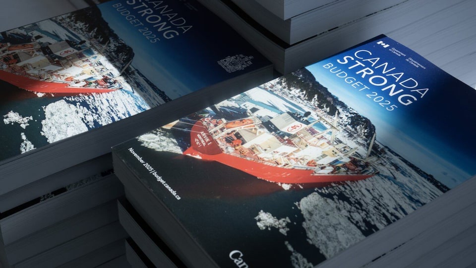 ‘I don’t think this a feel-good kind of budget’: economist Askari on federal budget