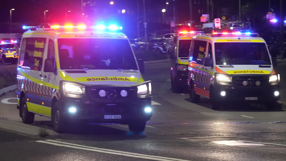 ‘Lots to find out’ as investigators begin to unpack the Bondi Beach shooting: public safety analyst