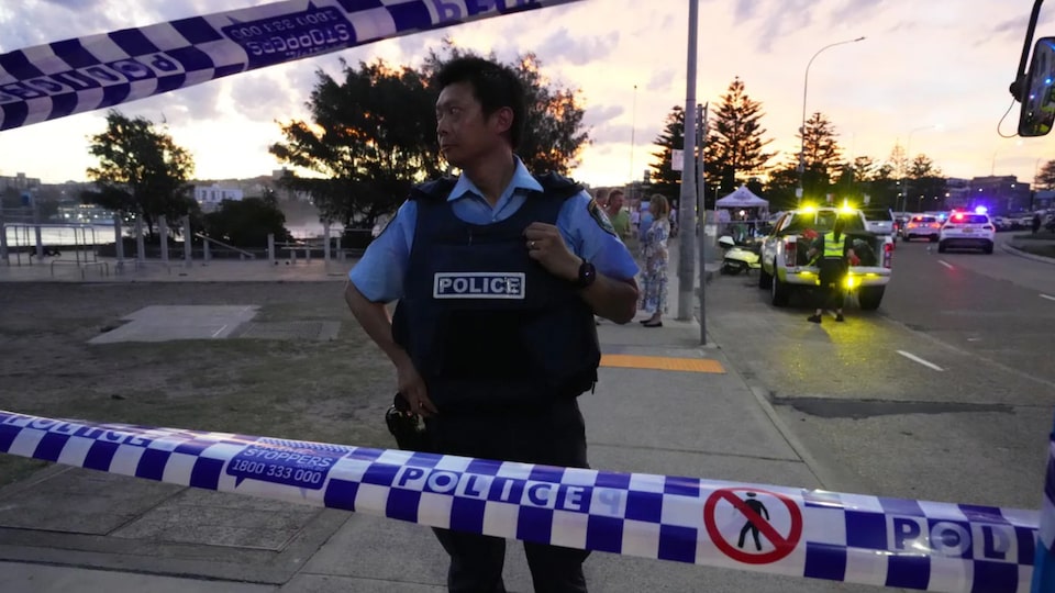 Security expert on what investigators will be looking for after the Bondi Beach shooting