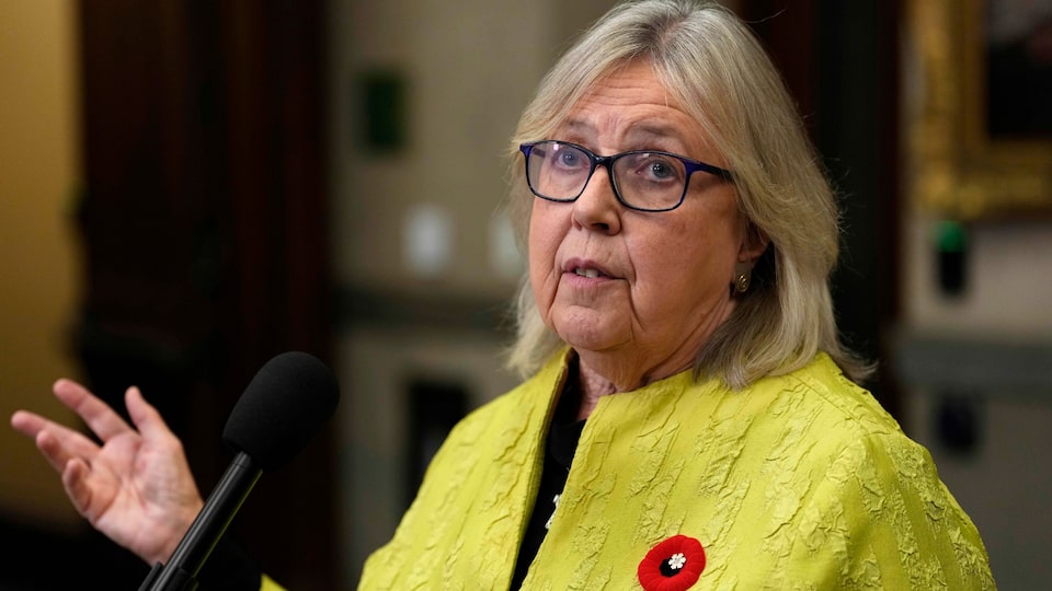 ‘We’re trampling over the low-hanging fruit’: Green Party Leader May on federal budget