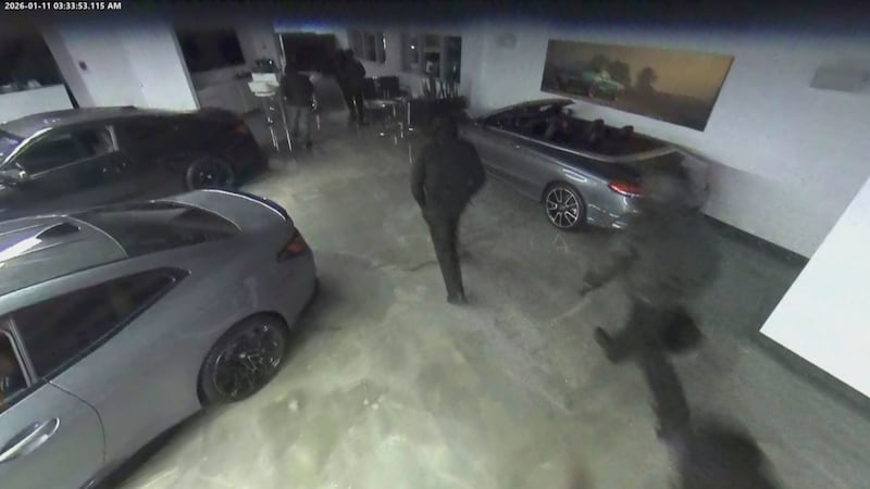 Video shows $2 million worth of luxury cars being stolen from Oakville dealership